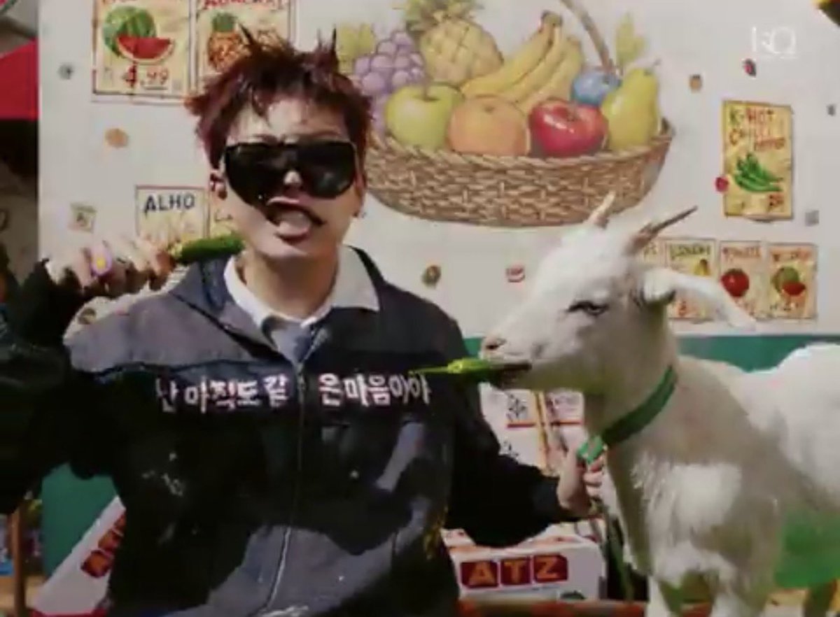 ヤギさん Post by 샘홍₁ ₁ ₀ ₇ on X: またヤギさん🐐