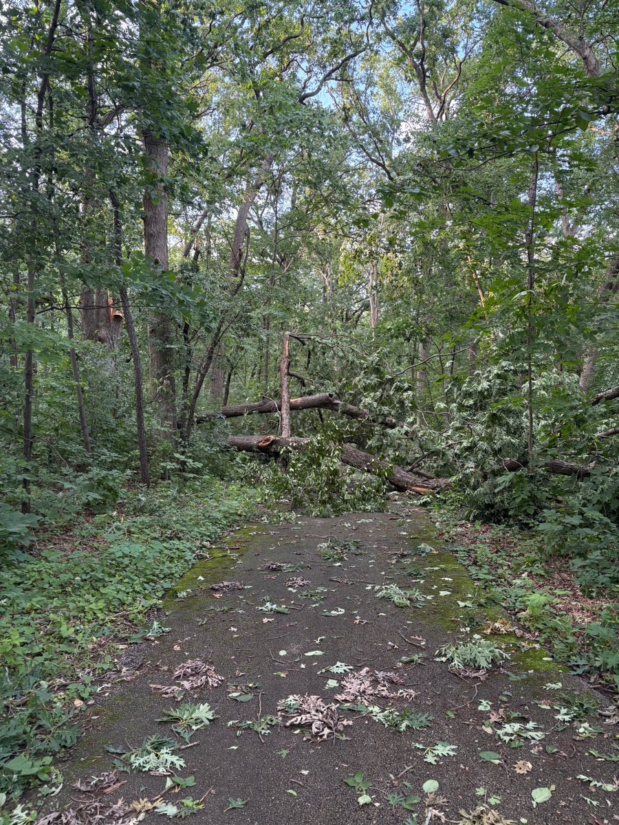 myspaceamor's tweet photo. honestly crazy as hell the after storm mess behind and in-front of my house https://t.co/KOBL9yrbIG