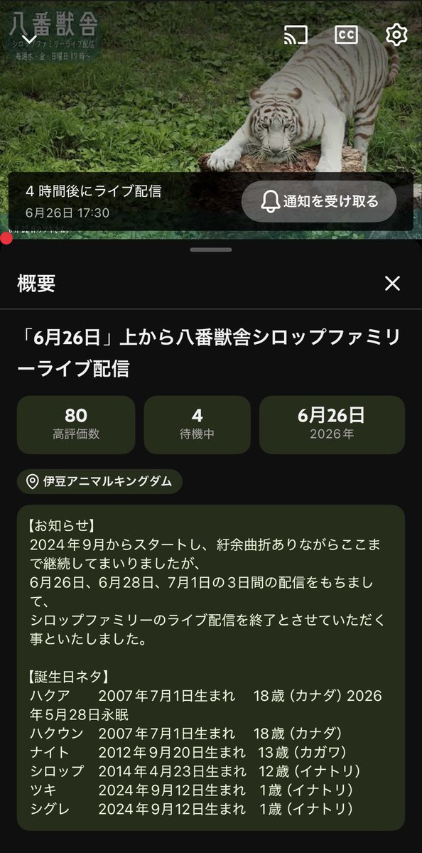 Doroyoko's tweet photo. 今まで続けて下さった感謝はもちろんあります！
でもショックで言葉が出ない…
#伊豆アニマルキングダム 
#シロップファミリー https://t.co/NLADf6p3Qf