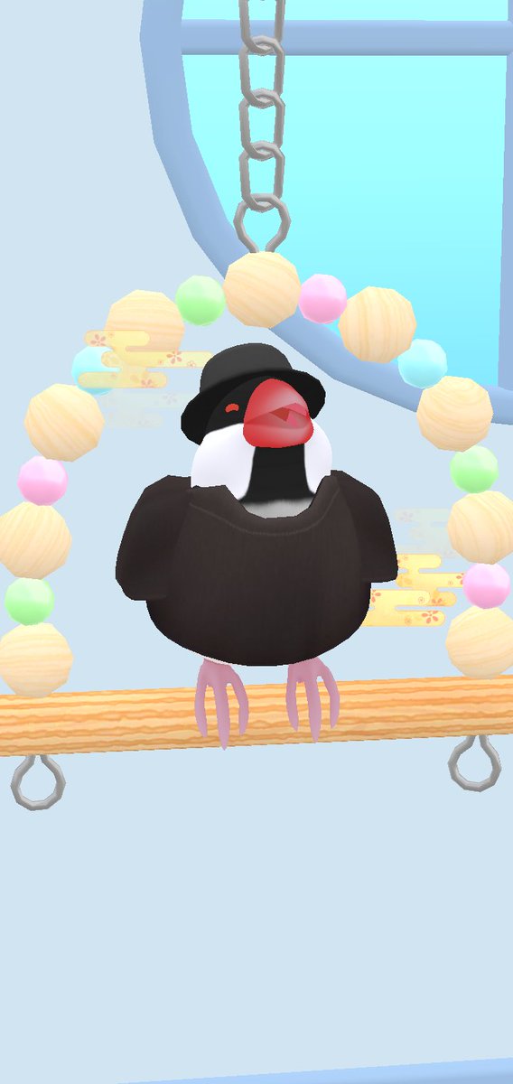 gargarntar's tweet photo. Mah 0 years and 8 months and 2 days
Do you guys think Mah is happy that I abandoned him for yet another 2 months?
#happybuncholife #javasparrow #buncho #cutebird https://t.co/ROX0Z6NHek