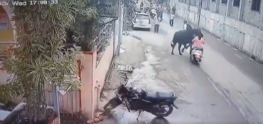 ag_Journalist's tweet photo. #BREAKING : A woman riding a two-wheeler was seriously injured after a stray bull charged into her in Nashik, throwing her onto the road. She reportedly lost consciousness and was rushed to a nearby hospital, where she is undergoing treatment. 

#Nashik #नासिक #BreakingNews #RoadSafety #StrayCattle #BullAttack #Maharashtra #Accident #IndiaNews #StaySafe