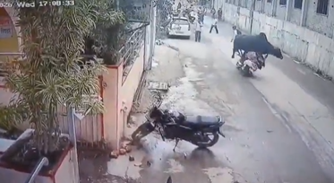 ag_Journalist's tweet photo. #BREAKING : A woman riding a two-wheeler was seriously injured after a stray bull charged into her in Nashik, throwing her onto the road. She reportedly lost consciousness and was rushed to a nearby hospital, where she is undergoing treatment. 

#Nashik #नासिक #BreakingNews #RoadSafety #StrayCattle #BullAttack #Maharashtra #Accident #IndiaNews #StaySafe