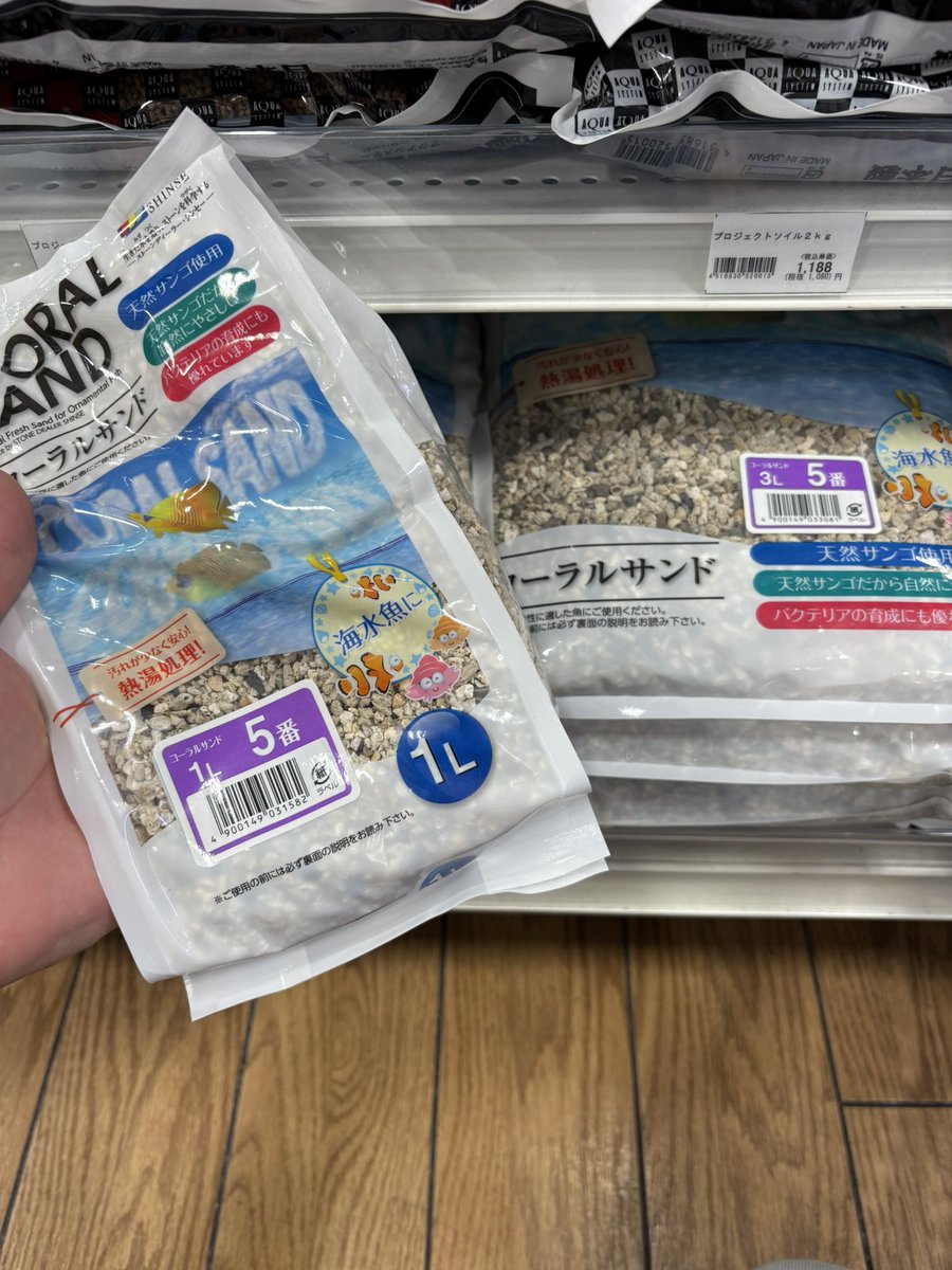 kanedaiadachi's tweet photo. ちょうど良いツブのコーラルサンド入荷しました！！
これで当店で新しく始めた汽水業が飼育できます！！ https://t.co/Xbu1YnDbu3
