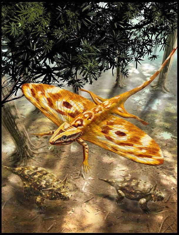 JHemiptera's tweet photo. I was really shocked to hear the paleoartist Alain Bénéteau passed away this January, and frustrated to myself for not knowing this tragedy for 5 months.

He was one of the most influential paleoartists for me, and his legacy will be remembered forever. 

Rest in peace. https://t.co/Desdmhy4tT