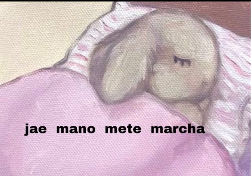 rcruzzx's tweet photo. @rolealeatorio https://t.co/Y1DeQZSAIy