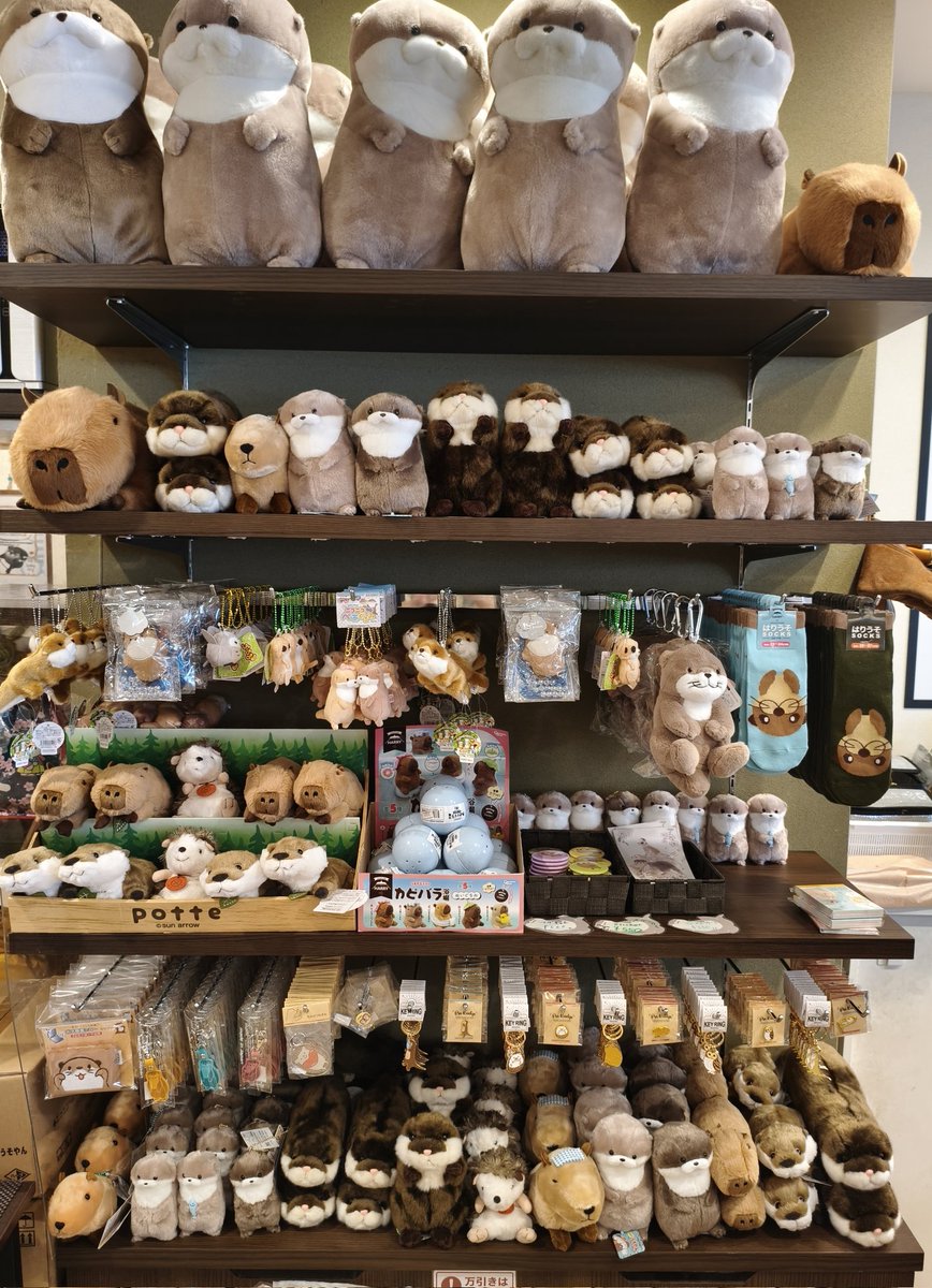 サン・アロー公式オンラインショップ (@teddys_shop) / Posts / X