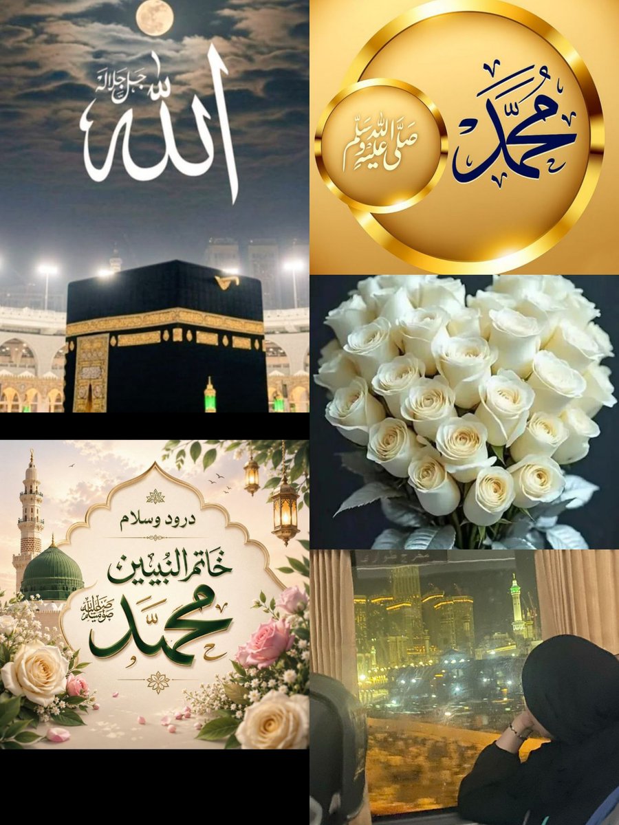 Scholar Qurat_Ul_Ain. tweet media