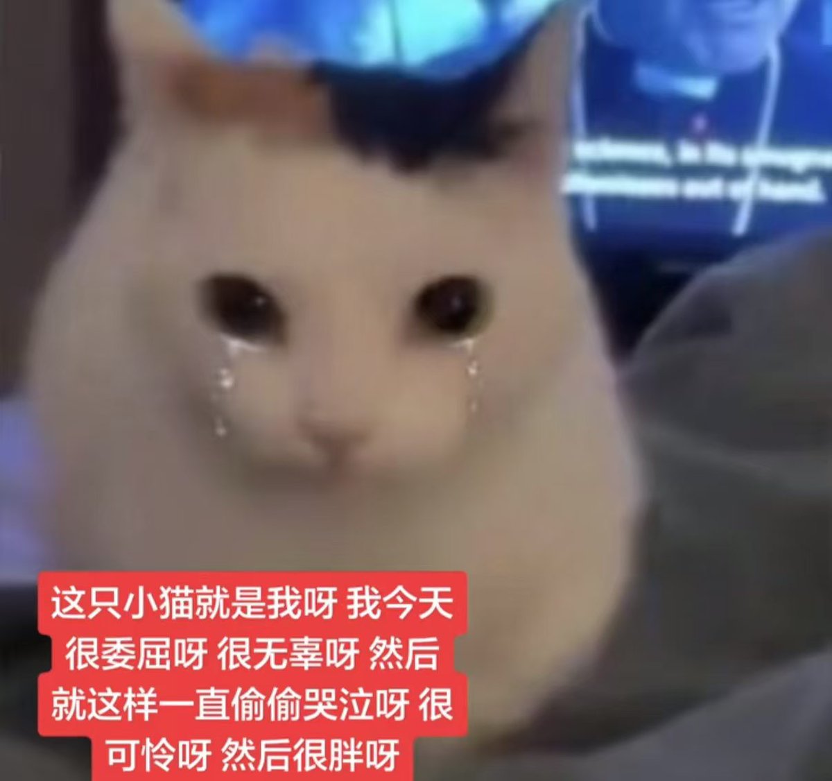 XIA0Lii's tweet photo. https://t.co/lQEbjmuTbd
