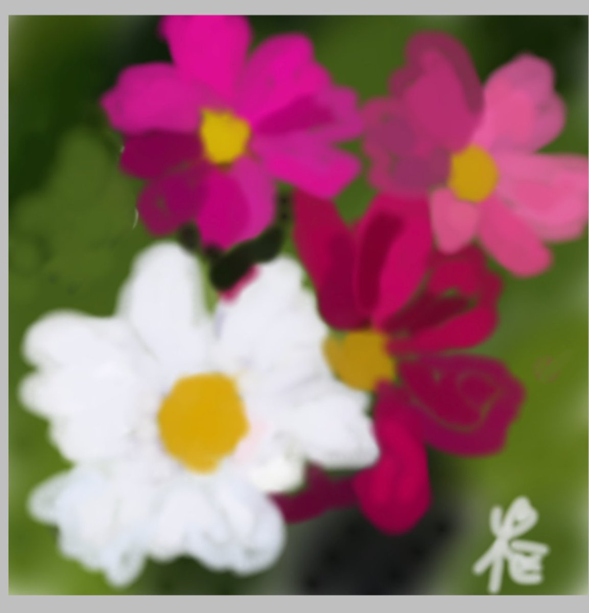 vi1382384's tweet photo. コスモス https://t.co/xcjDilvgL6
