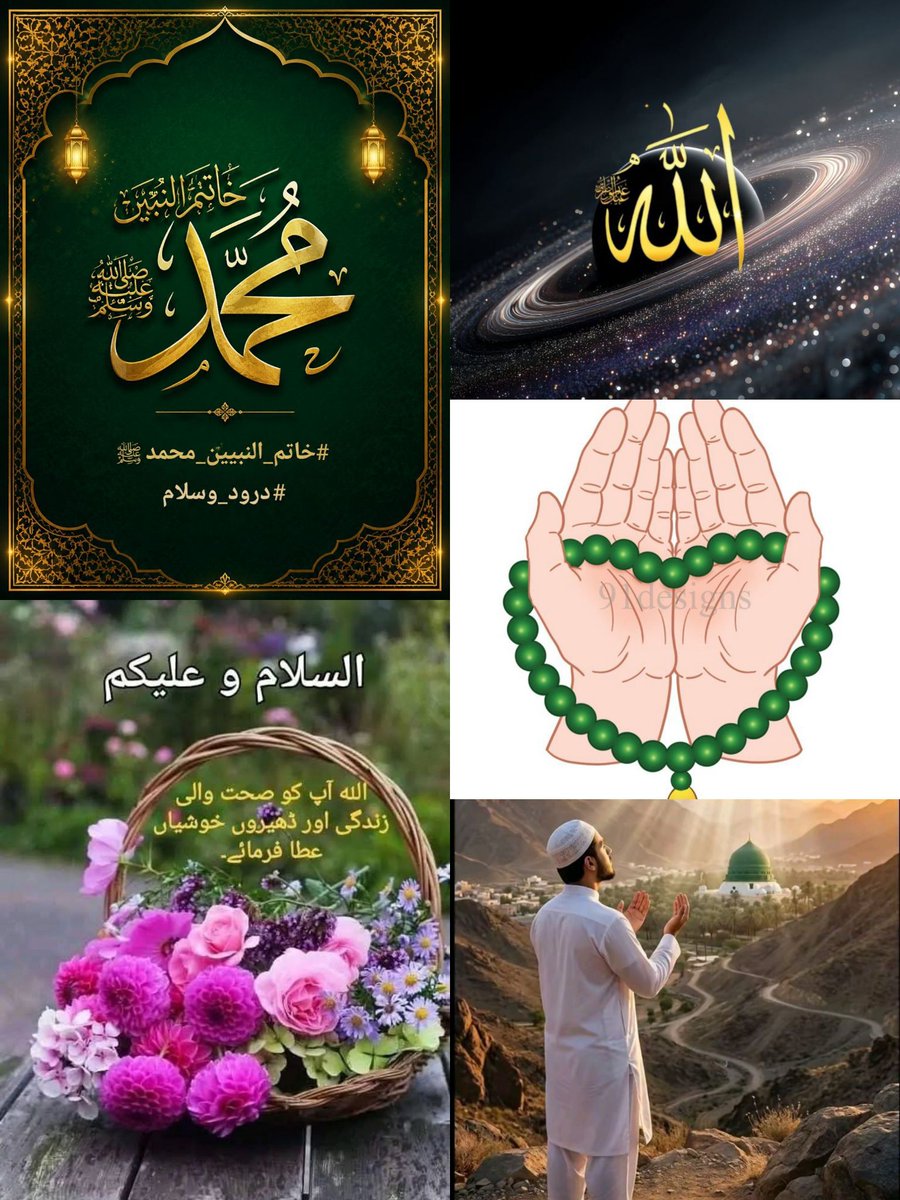Scholar Qurat_Ul_Ain. tweet media