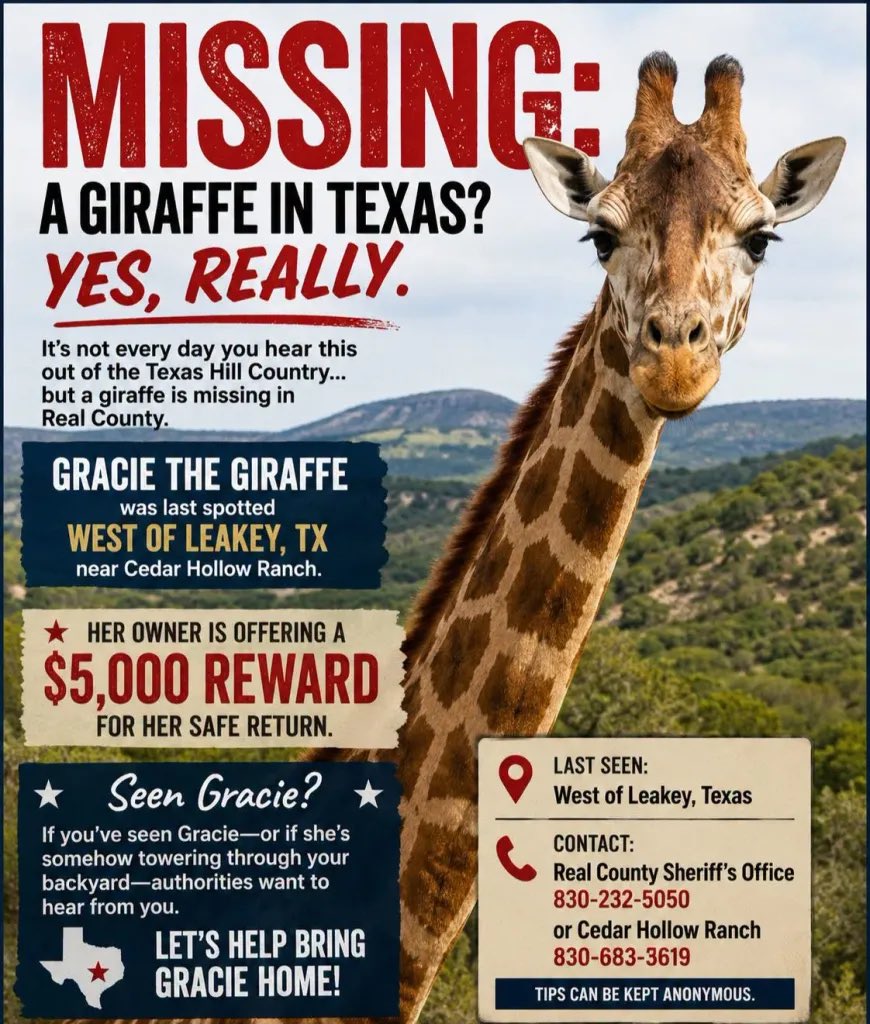 TrueCrimesLive's tweet photo. https://t.co/NSIcOxF6Tw