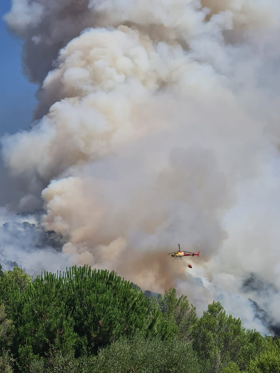 fotosito10's tweet photo. Fa mal veure cremar el bosc de casa. Avui Tiana pateix. Tot el meu suport als Bombers i als equips d'emergència que lluiten contra les flames en unes condicions molt difícils. Tant de bo el puguin controlar ben aviat i no haguem de lamentar cap víctima. 💔🔥🌲 #Tiana #Incendi https://t.co/clCOiQpQCr