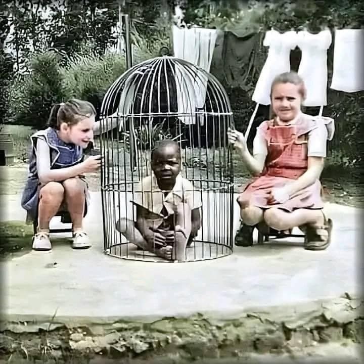 xagreat's tweet photo. Israel, USA and Argentina said this is not a crime against humanity.

😭😭😭😭😭😭 https://t.co/1ZUi3KEnKa