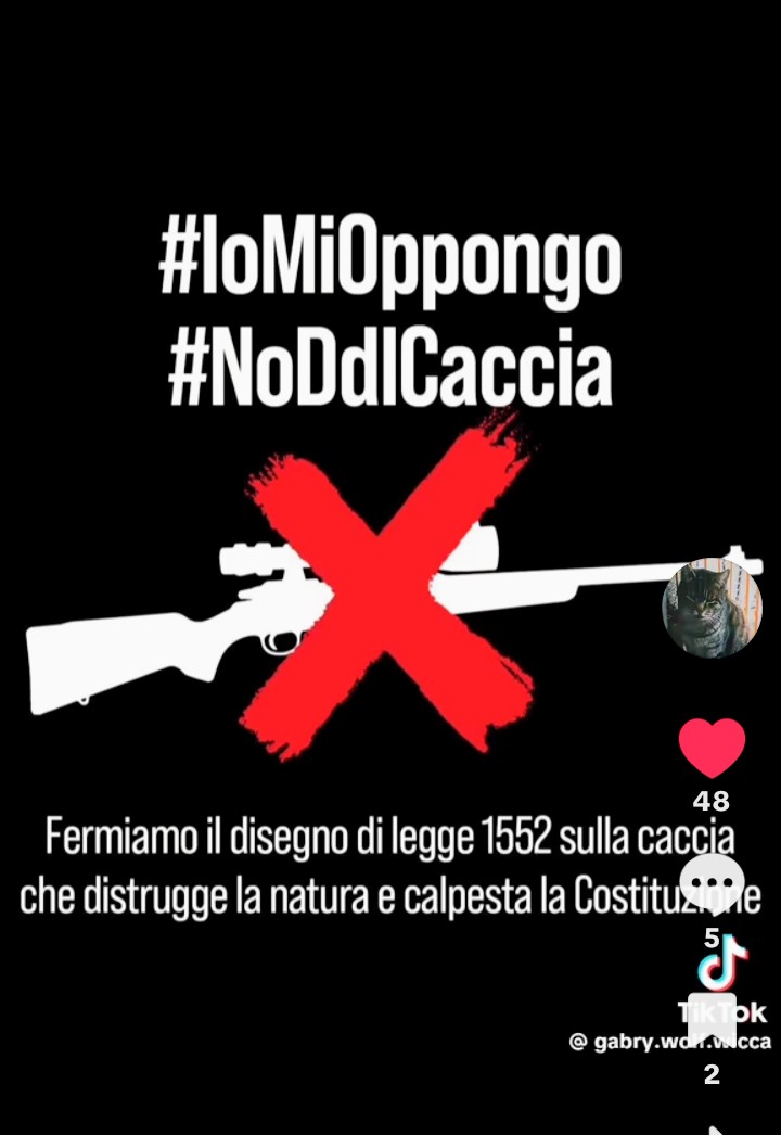 PaoloOchi's tweet photo. Diamo voce agli animali e non alle armi .👎😡 https://t.co/LIQMgwDL9L