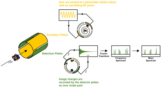 Biomed_MDPI's tweet photo. 🎯 EDITOR’S PICK | A standout article selected by our editors 
📌 Fourier Transform Ion Cyclotron Resonance Mass Spectrometry Applications for Metabolomics 
🔗https://t.co/BXLSWSP4Dk
#EditorsChoice #RecommendedRead  
@MDPIOpenAccess @MDPIBiologySubj https://t.co/v8St1QiHdN