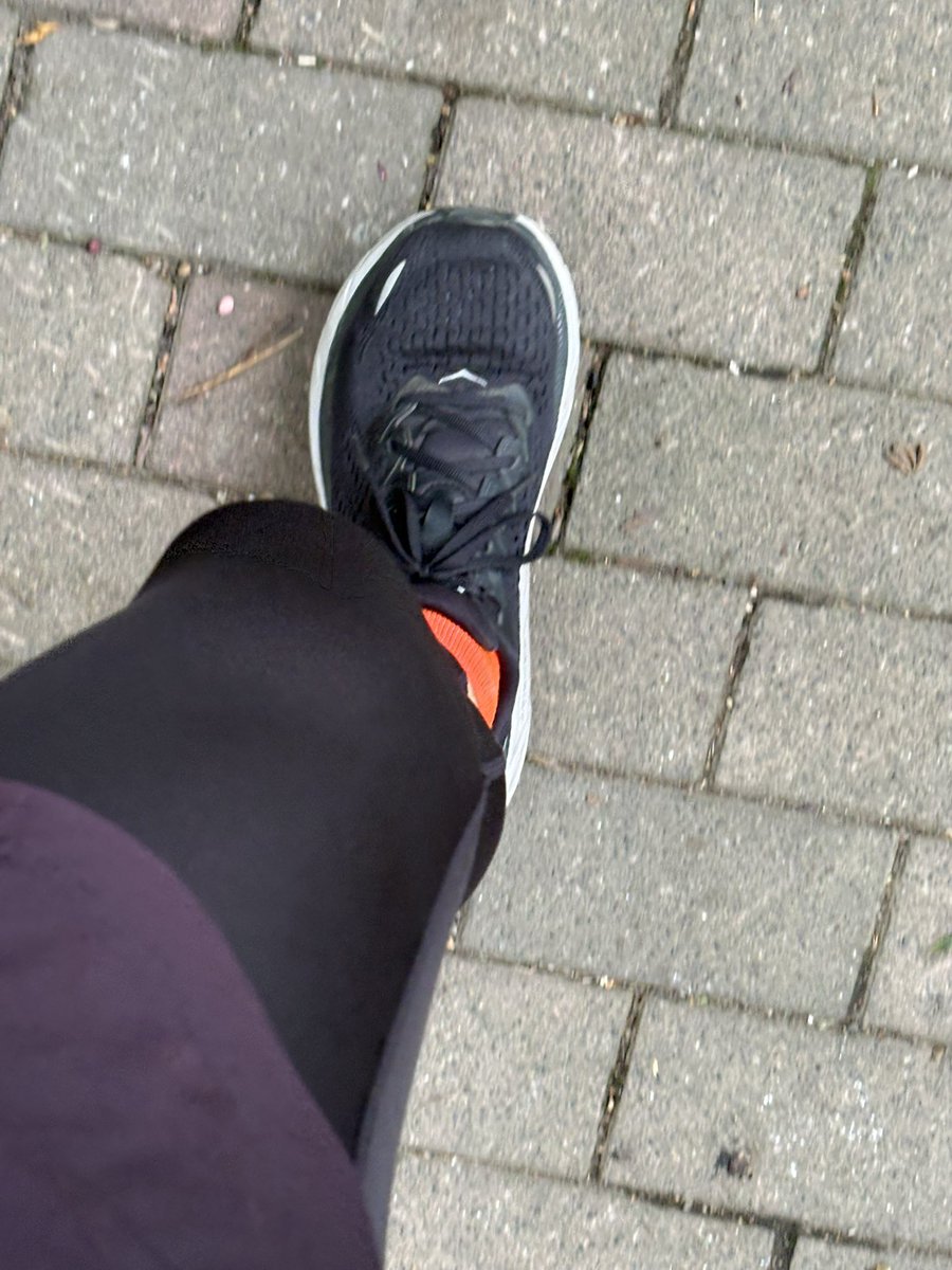 saiteu_tw's tweet photo. 11.16km CLFTON8
サロマが目前なので、完走した相棒のHOKAでラン
既に普段使いのシューズなんだよな
…思い入れが深過ぎて捨てられないな
#札幌 #ランニング #hokaoneone https://t.co/xpcjc4QSz3
