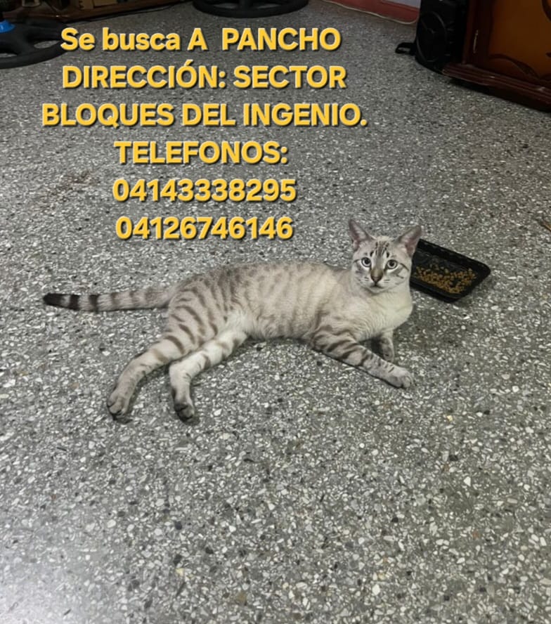 yaracalcagno's tweet photo. Atención Bloques del Ingenio. Se busca. https://t.co/ONUr5vJaPJ
