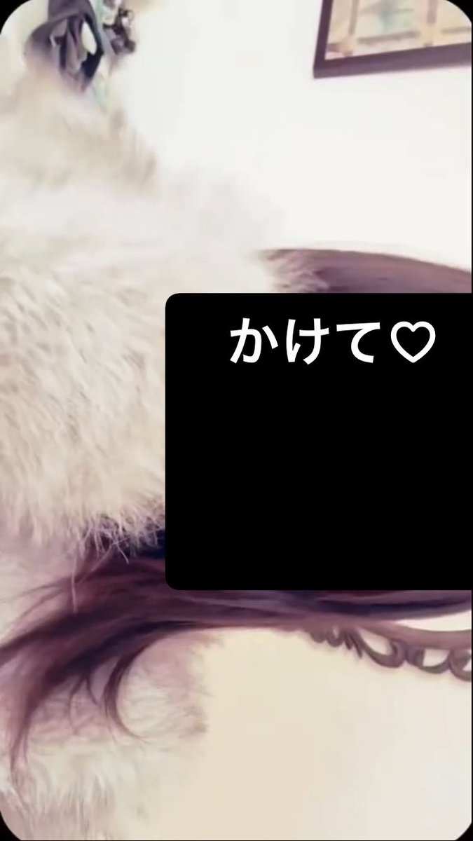 xf_5w's tweet photo. 私と友達にぶっかけかちん添えできる人DMでして凸って欲しいです♡
いいねでDMいきます
#裏アカ女子 #イメプ #ご主人様募集中 #m女  #オナ指示 #いいねでDM #指示 #裏垢女子 #オナペ #ぶっかけ #チン添え #DM調教 https://t.co/CKFf5y7Cah