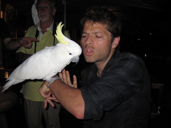 scrumblewonk's tweet photo. candid misha collins 🪽 https://t.co/yYHQ9qlQvC