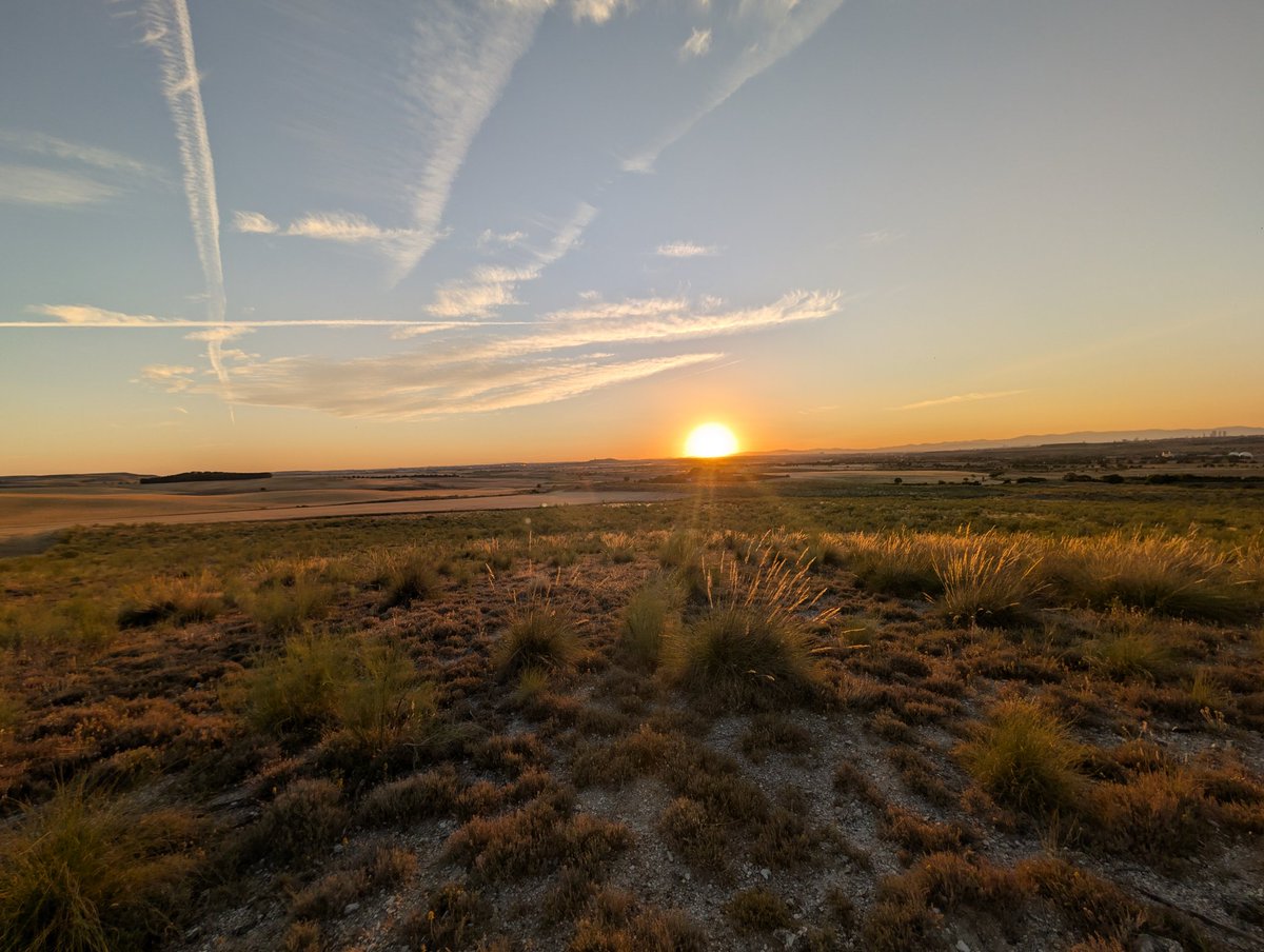 UnaiEch's tweet photo. Casi lo mejor de Madrid y alrededores...al no tener limitaciones geográficas y estar en mitad de la mitad de la nada es más fácil sentirse casi en plena naturaleza y alejado de la estupidez humana ni que sea una hora. https://t.co/jljiU83U28