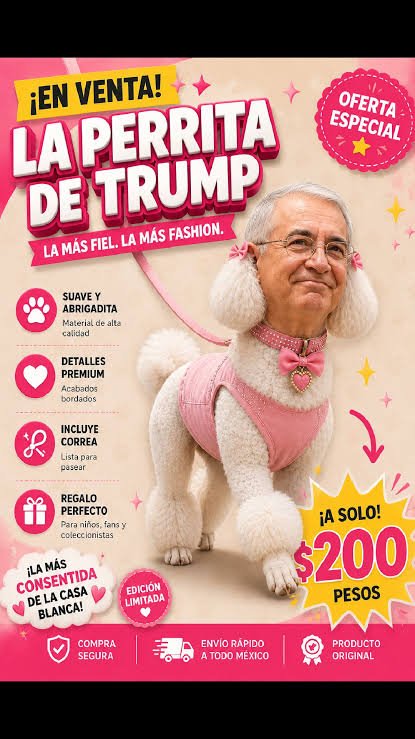 alonsophIII's tweet photo. @ElisaSantos05 #LaPerritaDeTrump deberia poner a la venta la figura #LaPerritaDeTrump para capitalizar, se venderia como pan caliente en sus tiendas de usura Electra. https://t.co/FT927QPyVp