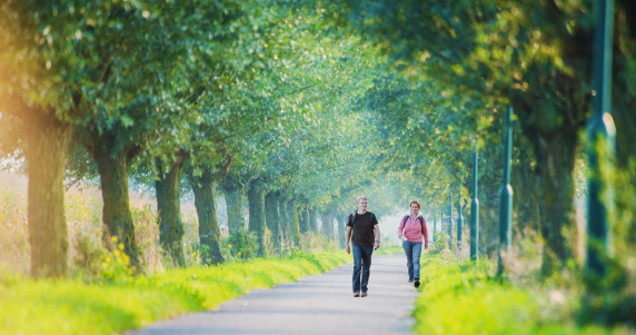 wandelnet's tweet photo. Afgelopen week was heet. Maar de lange avonden zijn perfect voor een wandeling! 👟🌳

Op zoek naar inspiratie? Wandelnet selecteerde 5 mooie routes voor een heerlijke zomerse wandeling.

Lees de tips 👉 https://t.co/tdAI3jHsj3

#zomer #wandelen #zomerwandeling https://t.co/qBe3FWbUEC