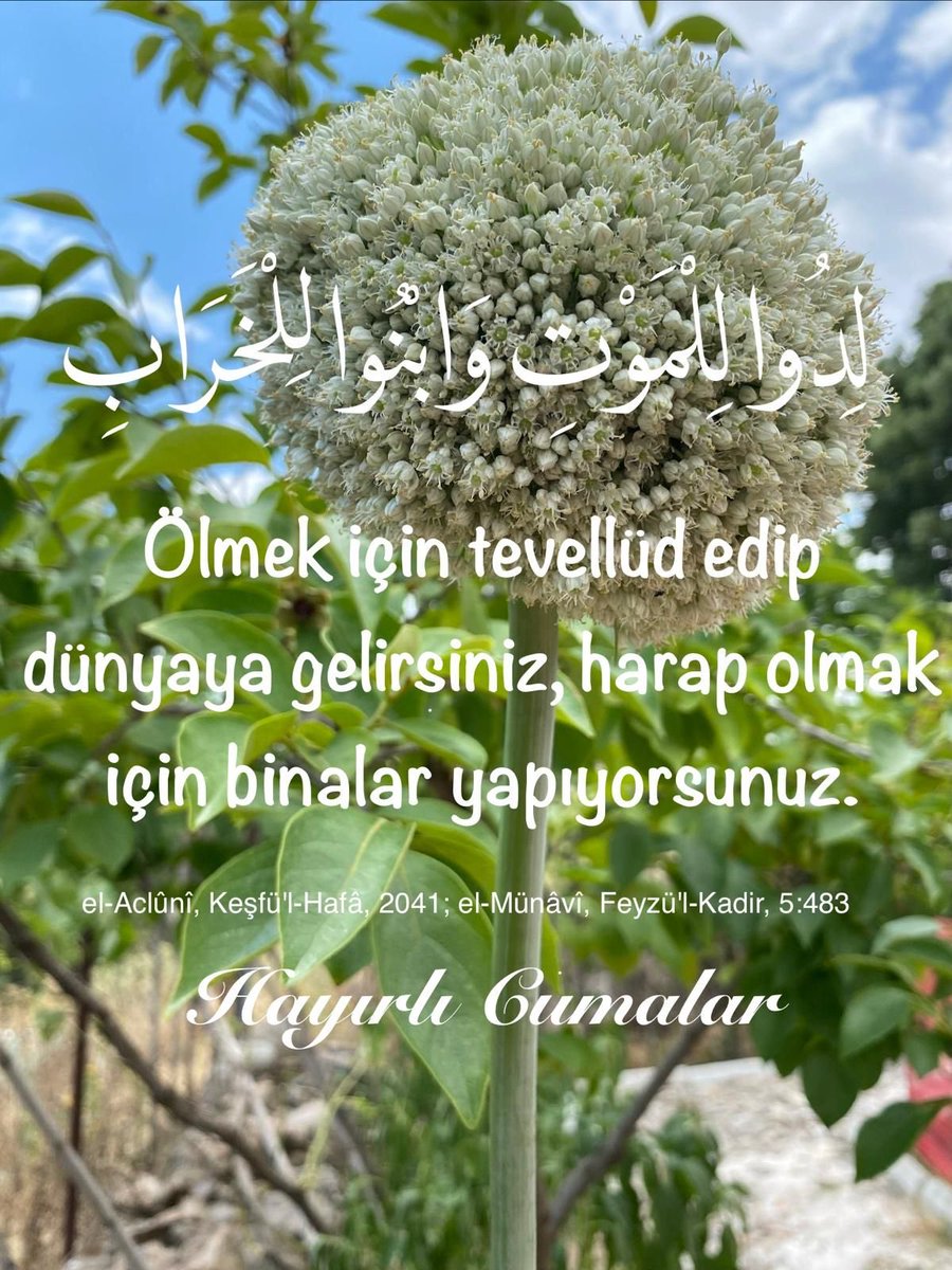 sadettinonal's tweet photo. https://t.co/RQ6wcyww0u
