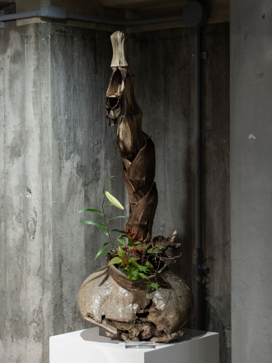 青花骨董祭と花 Flowers at Seika Antiques Fair ───── 初日