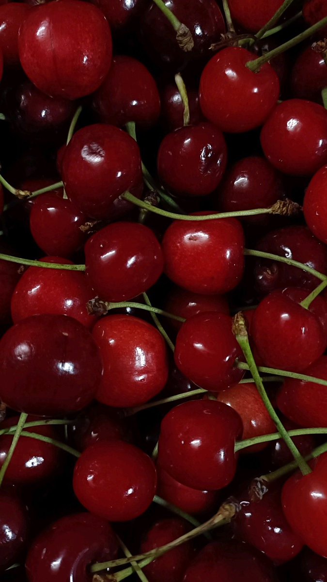 bielbiey's tweet photo. Seberapa buah kamu?🍒🍒 https://t.co/sWbAeT5TdW