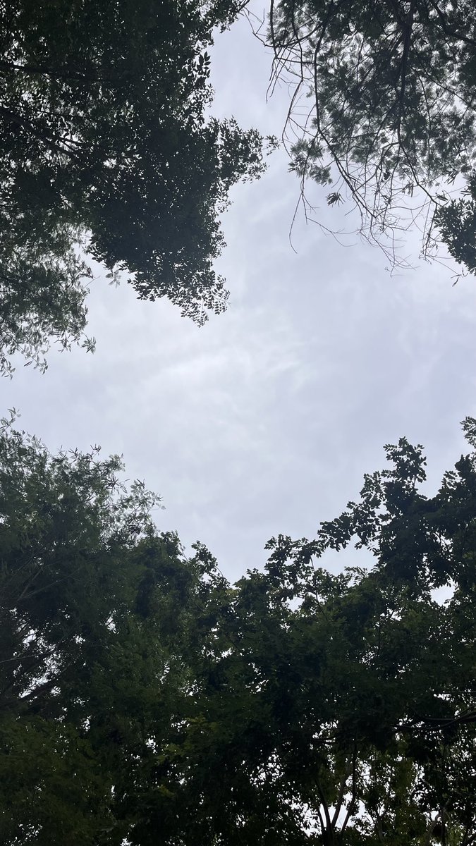 The_jonathan54's tweet photo. ฝนจะตกอีกล่ะ #เรียลทำงาน #ชลบุรี #ศรีราชา https://t.co/XqayBB9YBg