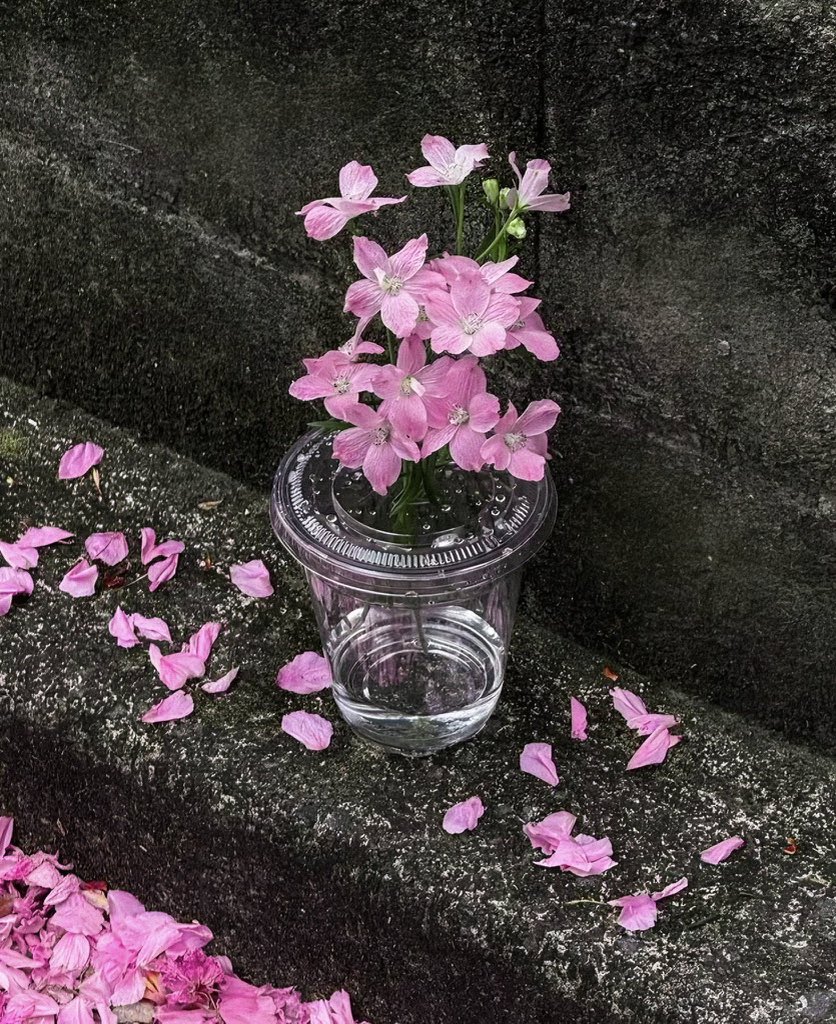 _Naturaee's tweet photo. floral street art https://t.co/mZGgu8opD9