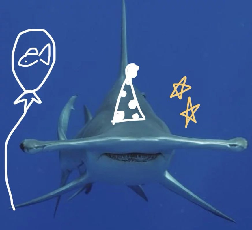 emmmfo2's tweet photo. PARTYSHARK is pure good vibes only.

In a market full of stress and red candles, this shark shows up smiling with the hat on, reminding us to have fun while we stack.

This is the coin that makes holding feel like a party

Yo this the exact type of party the sharks love the most fr 😂

We out here just a bunch of tiny fish swimming in the tank while the big whales going crazy.