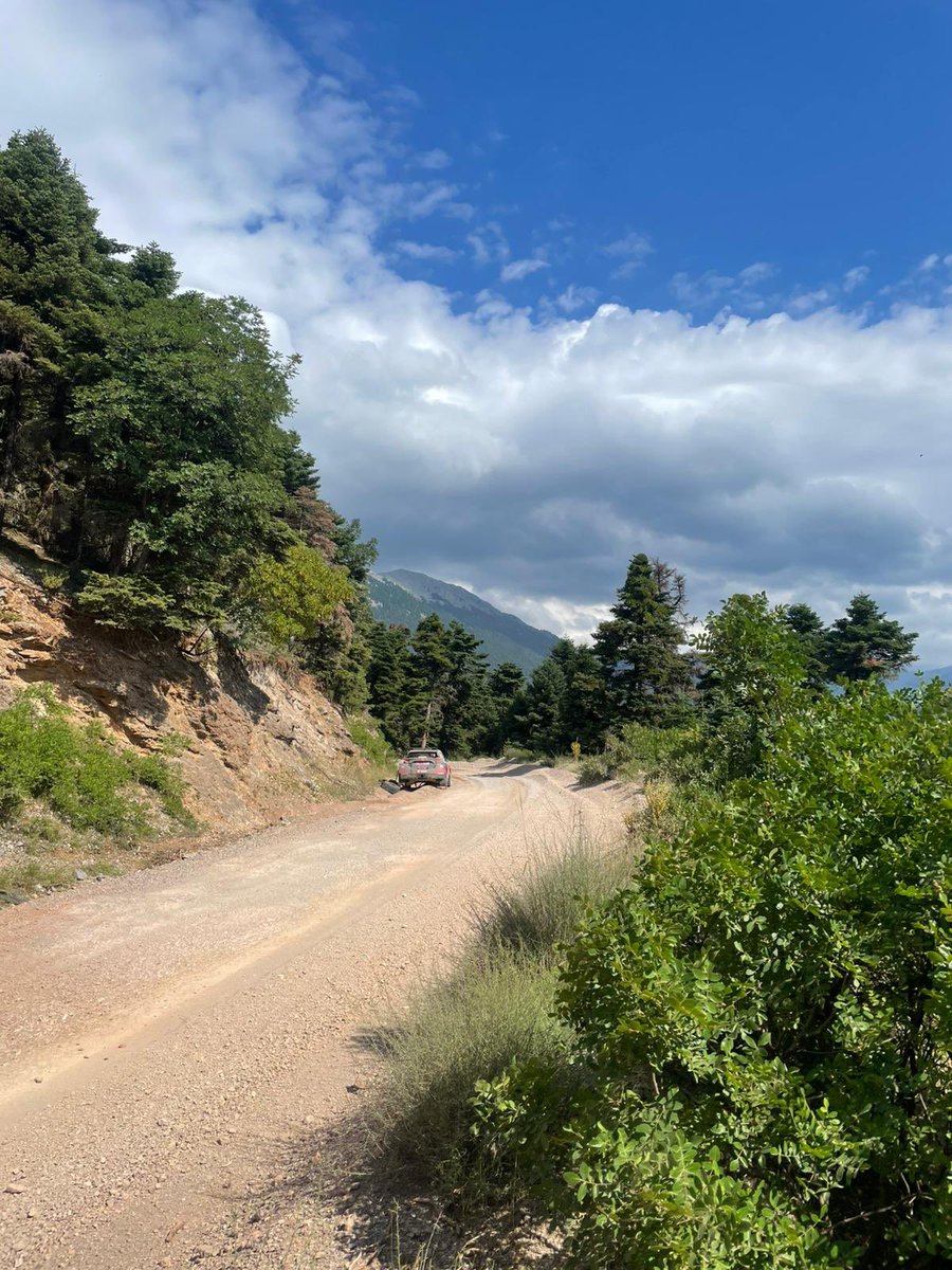 GreensmithGus's tweet photo. I picked up a front left puncture, a few corners later the tire came off the rim &amp; we understeered wide &amp; ripped off the rear left wheel. 

My fault, nothing else to say. https://t.co/v0In0AC5rV
