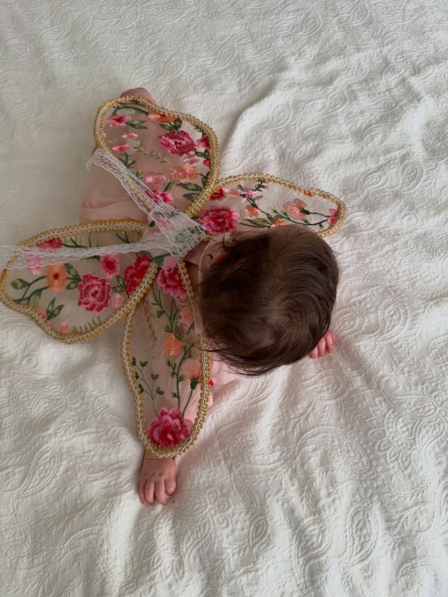 _littlegroves's tweet photo. fairies are born not made https://t.co/pEkPpHx7yv