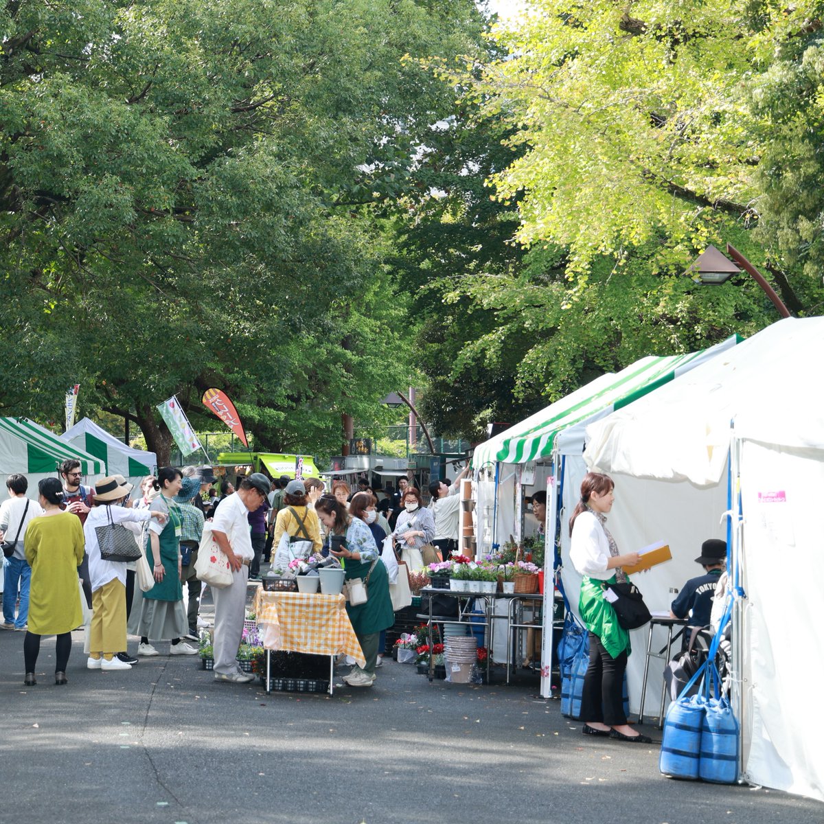 HibiyaGS's tweet photo. 日比谷公園ガーデニングショー🌿
テント出展される企業・団体を募集中‼
 
来場者を通して活動をPRする大チャンス✨
※締め切り間近（～6/30）🏃！

ご担当者様はこちらをチェック👇
https://t.co/SHPqcDPOT1

#締切間近  #イベント情報  #出展 #出店 #企業PR  #ガーデニング #東京 #日比谷 #植物好き https://t.co/TGBHjBRdBz