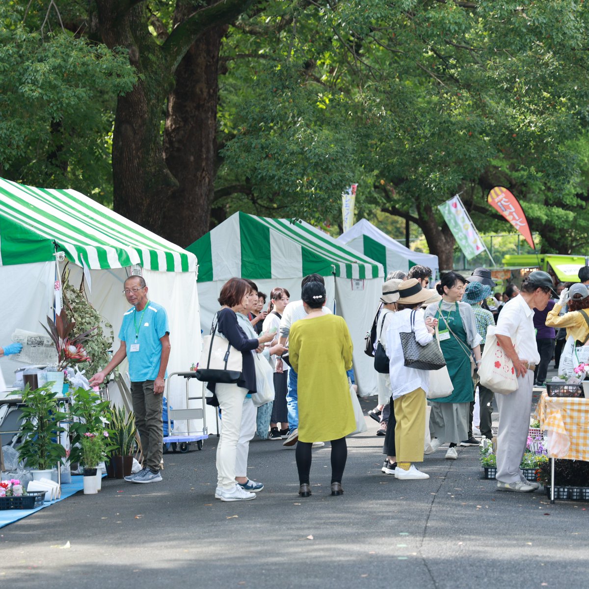 HibiyaGS's tweet photo. 日比谷公園ガーデニングショー🌿
テント出展される企業・団体を募集中‼
 
来場者を通して活動をPRする大チャンス✨
※締め切り間近（～6/30）🏃！

ご担当者様はこちらをチェック👇
https://t.co/SHPqcDPOT1

#締切間近  #イベント情報  #出展 #出店 #企業PR  #ガーデニング #東京 #日比谷 #植物好き https://t.co/TGBHjBRdBz