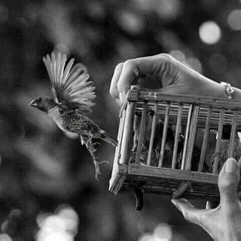 AnneAndrevegte's tweet photo. #FreeYourMind https://t.co/5zPftehAhW