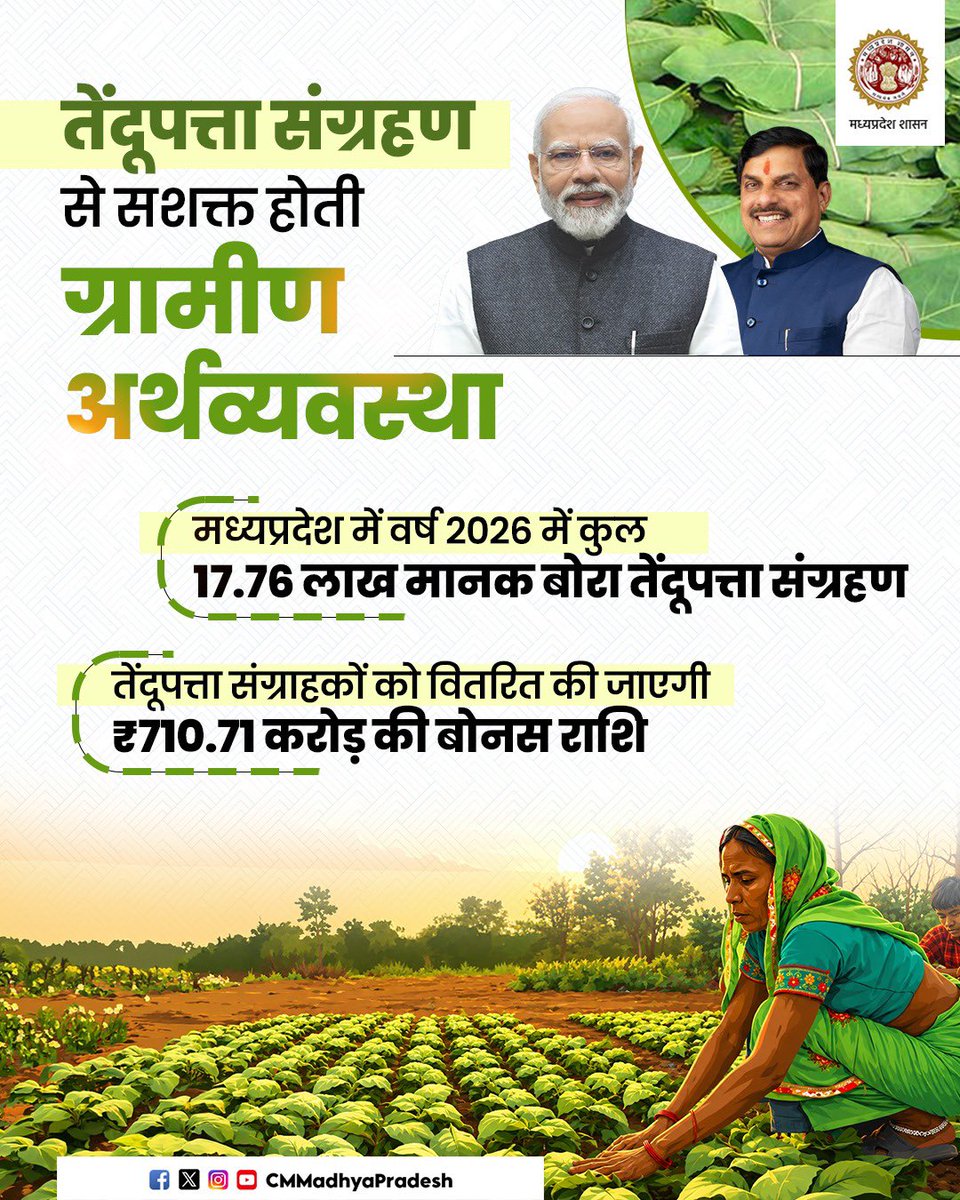 CMMadhyaPradesh's tweet photo. वनों से जुड़ी आजीविका को मिल रहा है नया संबल, और ग्रामीण अर्थव्यवस्था को नई गति…

तेंदूपत्ता संग्रहण से जुड़े लाखों संग्राहकों के श्रम को सम्मान देते हुए वर्ष 2026 में 17.76 लाख मानक बोरा संग्रहण के साथ संग्राहकों को ₹710.71 करोड़ की बोनस राशि प्रदान की जाएगी।

@DrMohanYadav51 @minforestmp #CMMadhyaPradesh #MadhyaPradesh