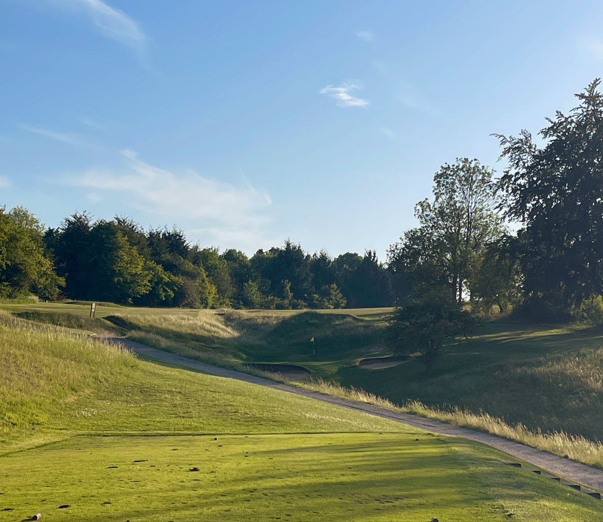 iNeedaCaddy's tweet photo. Name the course 125 #Top300Golf #Golf #GolfCourseArchitecture #GolfTwitter #Parkland #Bedfordshire 

The par 3s. https://t.co/EafUbacAa1