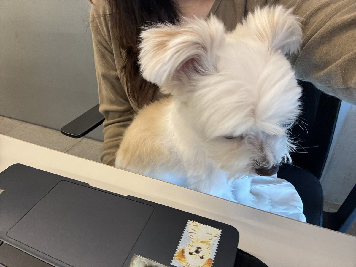 Noopppp_y's tweet photo. 그래서 출근했어요 https://t.co/wFWsP7cCsE