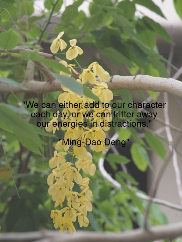 johncaptain007's tweet photo. "We can either add to our character each day, or we can fritter away our energies in distractions.",
"Ming-Dao Deng"

#SolarPower #CleanEnergy #ContractManagement https://t.co/nNhtcroVp5