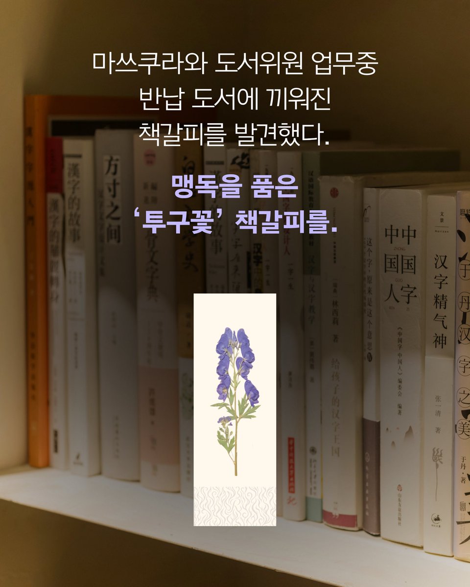 elixir_mystery's tweet photo. 지금 읽기 딱 좋은 이 책🌟
우리의 완벽한 아지트, '방과후 도서실'에서 맹독 책갈피가 발견되었다🪻

책갈피의 최초 발견자인 호리카와 &amp; 마쓰쿠라,
책갈피의 주인이라며 찾아온 미스터리한 소녀 세노. https://t.co/dPR9Og7GIv