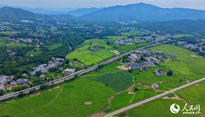 PDChinese's tweet photo. 【江西瑞金：夏日田園 路暢景美】近日，江西省瑞金市雲石山鄉黃陂村，蜿蜒向前的農村公路上車輛往來馳騁，路邊綠意盎然的農田與鱗次櫛比的農房相映襯，構成一幅路暢景美的夏日田園畫卷。 https://t.co/B3MKzyuoa0
