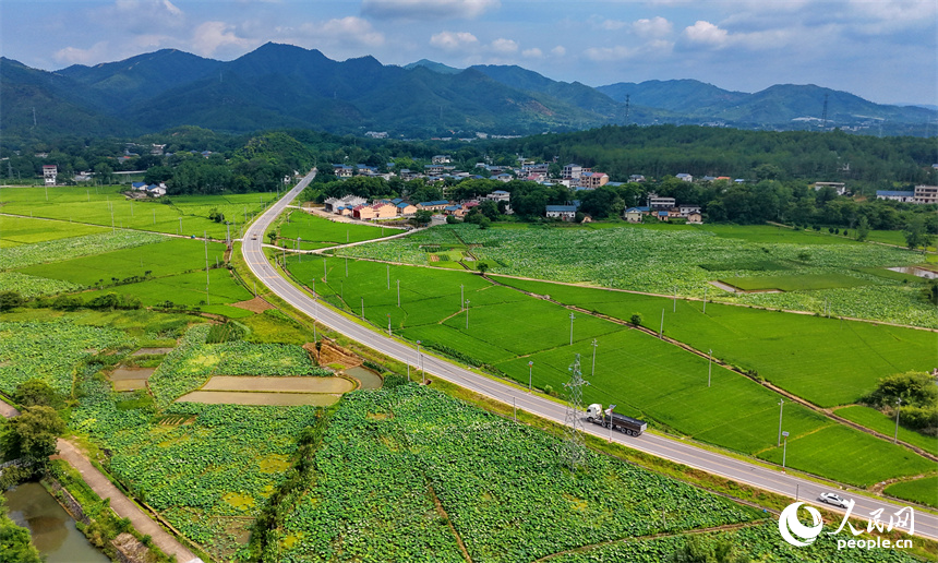 PDChinese's tweet photo. 【江西瑞金：夏日田園 路暢景美】近日，江西省瑞金市雲石山鄉黃陂村，蜿蜒向前的農村公路上車輛往來馳騁，路邊綠意盎然的農田與鱗次櫛比的農房相映襯，構成一幅路暢景美的夏日田園畫卷。 https://t.co/B3MKzyuoa0
