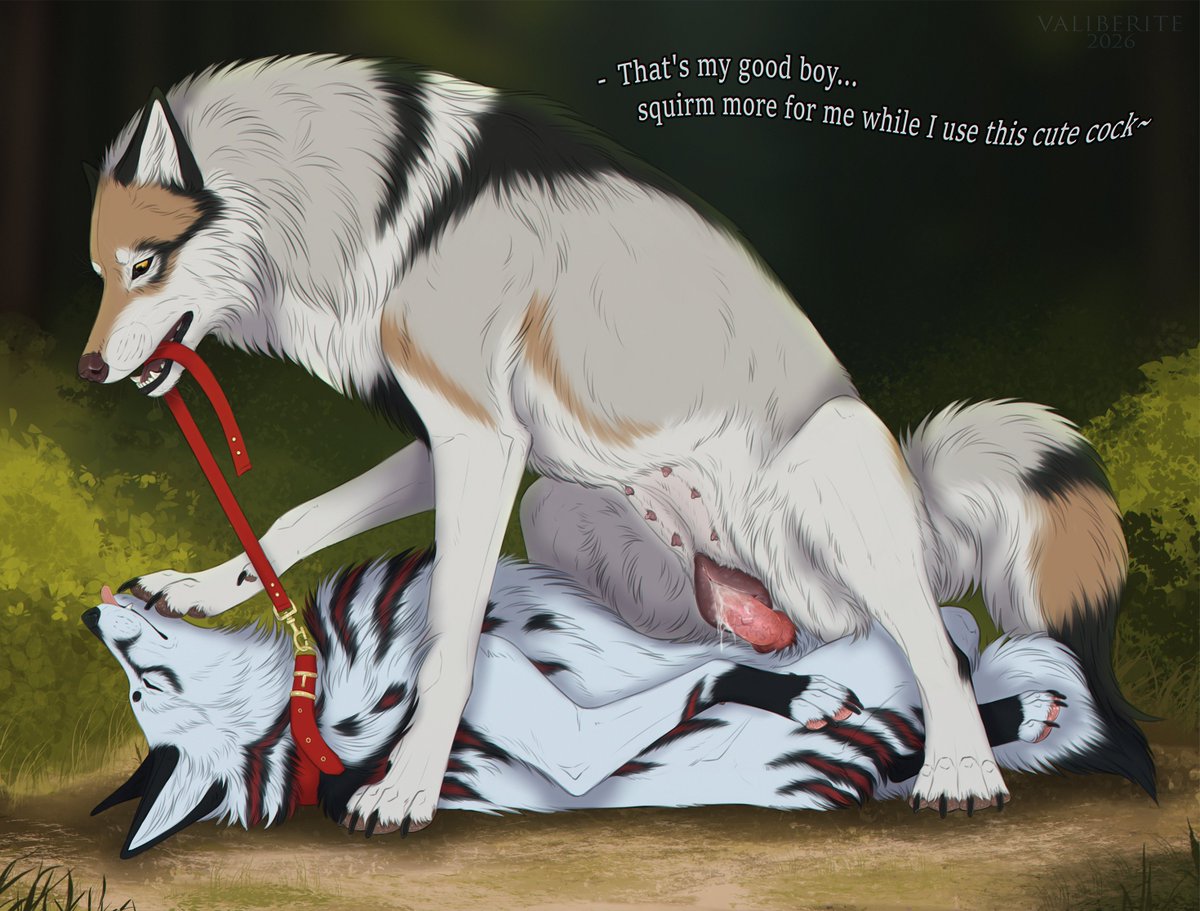 Valiberite's tweet photo. Art "Leashed Fox Under Wolfess" for  Barski

https://t.co/jVzFnEjPzT

#feralart #furryart #femdom #nsfw #wolf #fox https://t.co/LaQMIAA4nN