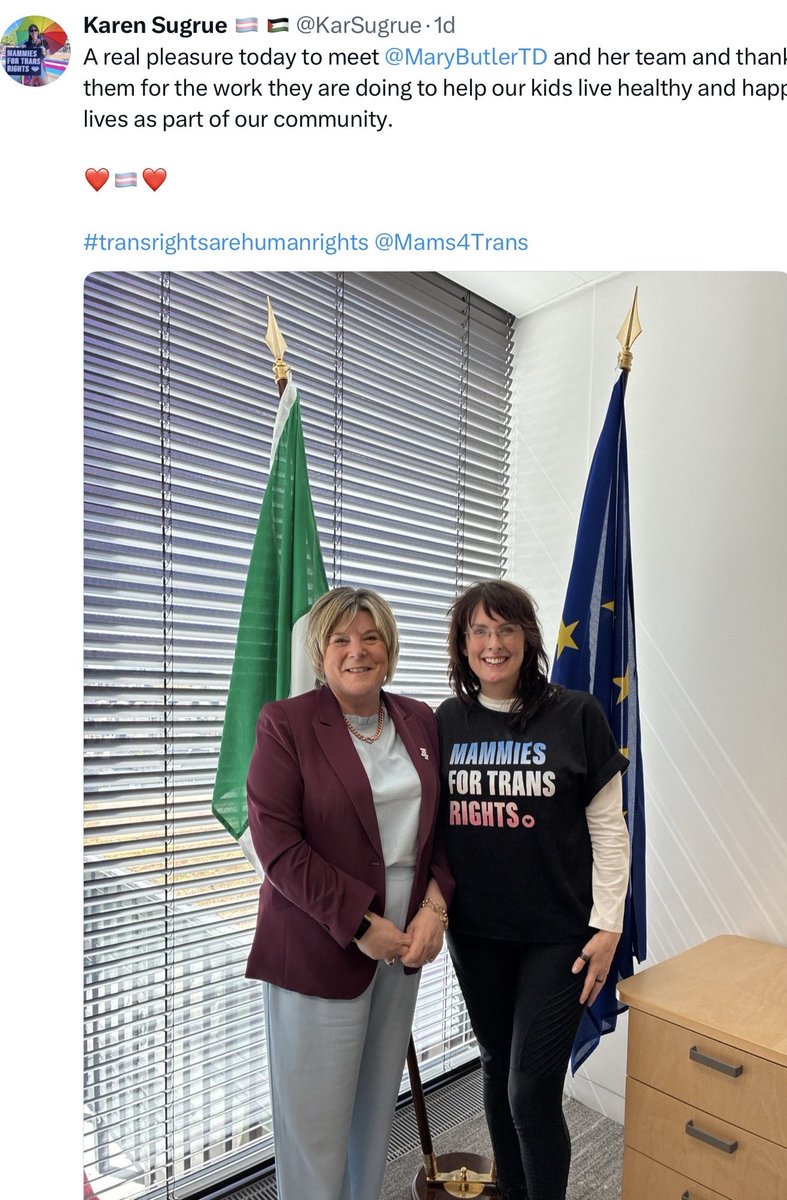 JillKerby's tweet photo. @jo_bartosch Just the sort of transgender healthcare  “trial” the likes of @HSELive Colm Henry &amp; transmammy #MaryButlerTD will eagerly look reviewing after all those 11-12yr UK kids have been given puberty blockers…  @TheCountessIE  @wicklowwomen4w1 @WomensSocIre @paddyjogorman @griptmedia https://t.co/3BdO2TebvO
