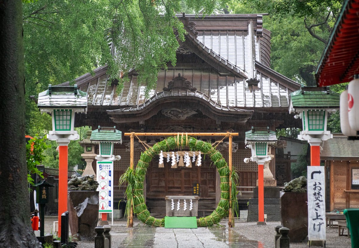 Tanashi_Shrine's tweet photo. 清々しい気持ちで「夏越の大祓式」を迎えられるよう6月26日（金）入れ替え作業を行い、茅の輪が新しくなりました☀️

〜夏越大祓式〜

日時:6月30日（火）
午前１０時・午後１時・午後４時
（計３回斎行） https://t.co/Gh61b4I8fK