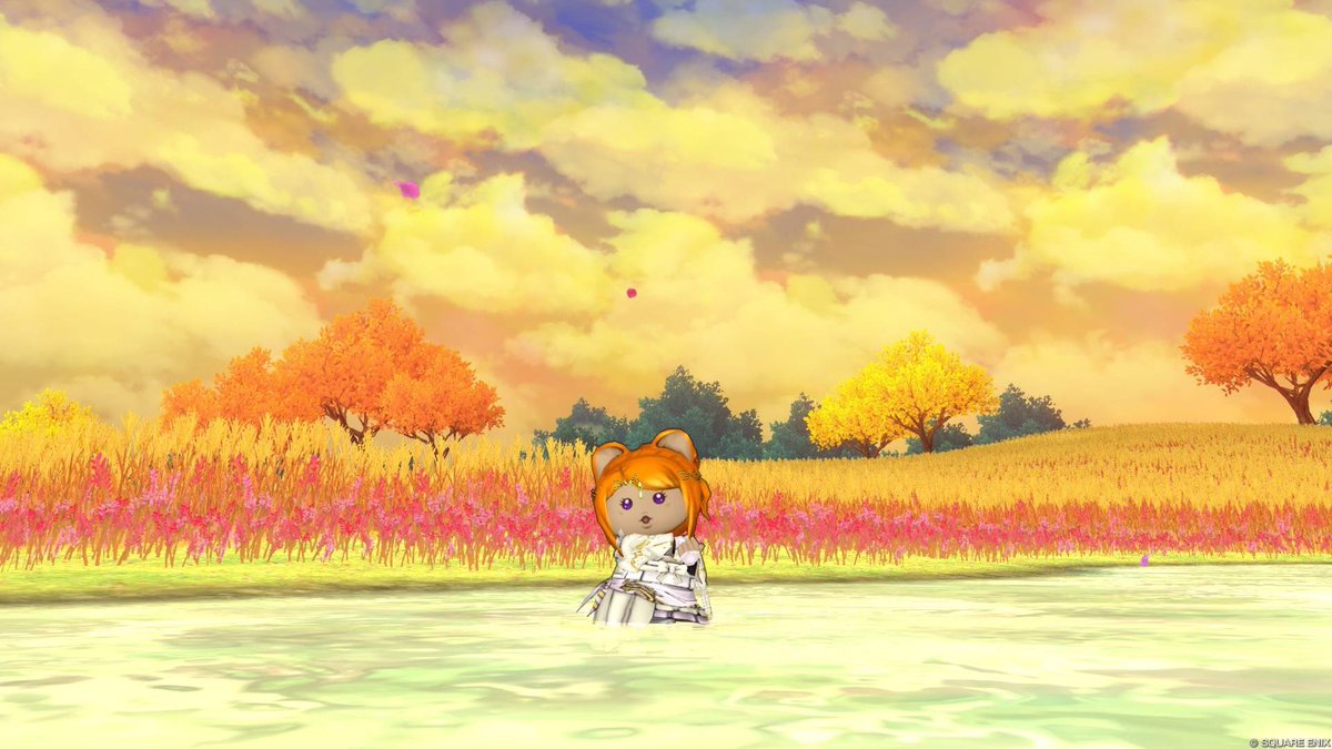 Barchy79's tweet photo. ストームカイザーはこれでいくど🌸準備運動ﾑﾁｭ顔するのかわいい https://t.co/GmLIOY4s3Y