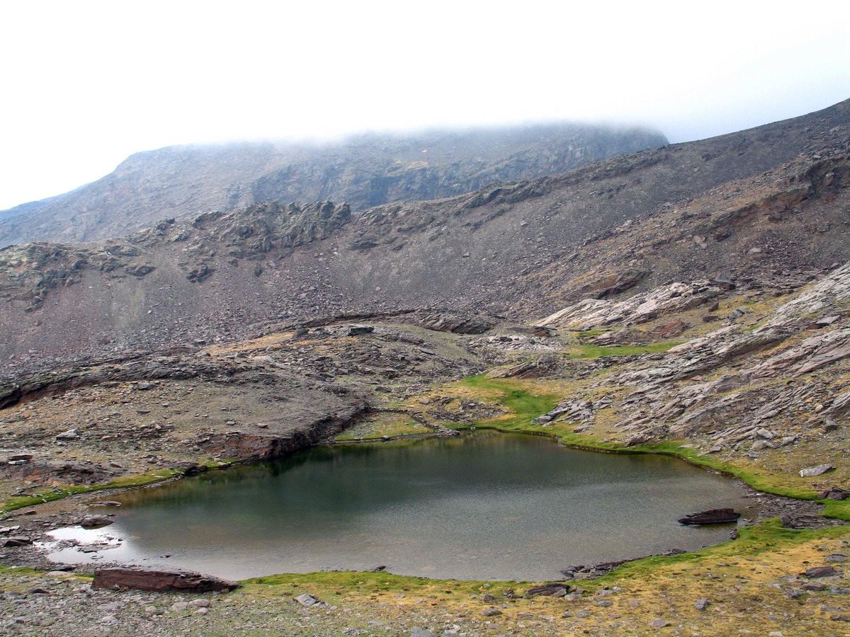 JaviertPrado's tweet photo. ¿Cuál es el lugar con más leyendas por metro cuadrado en España? Muchos piensan en valles del norte o castillos antiguos.
Se equivocan. 

Ya disponible en la Revista de Folklore mi artículo sobre la LAGUNA DE VACARES, epicentro de creencias sobrenaturales:
https://t.co/35IviDaY8r https://t.co/UoSDuvjIIt