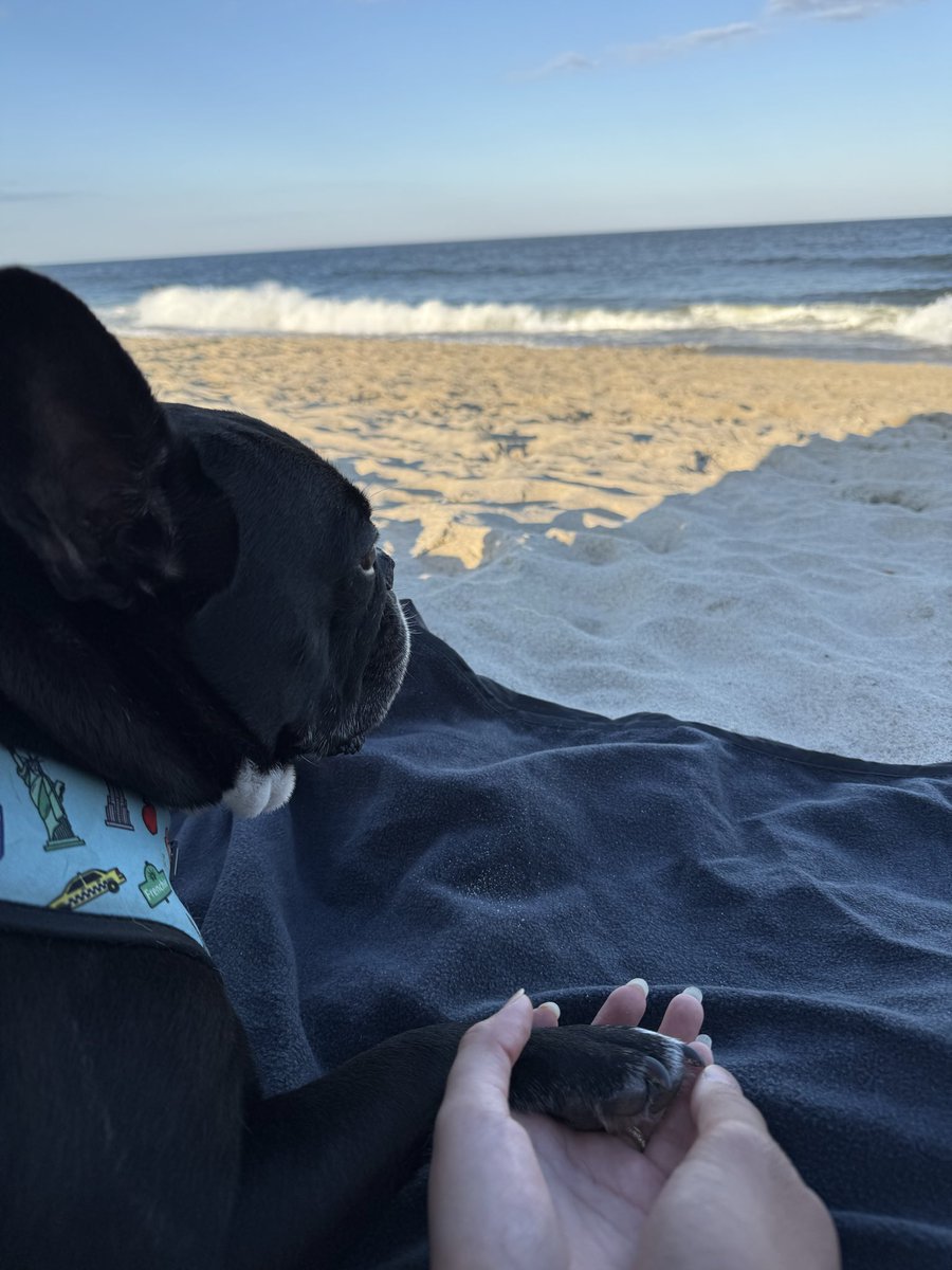 Kathyygeee's tweet photo. My greatest and purest love. My heart will never recover. Forever wouldn’t be long enough 🤍🐾✨ https://t.co/beLtRJ8OYn